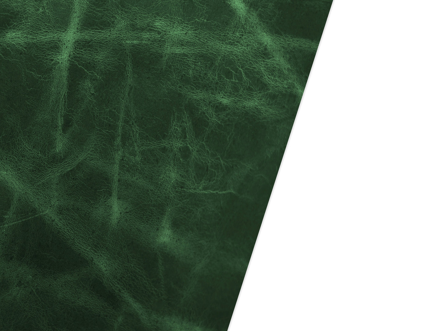 2mm Classic Oil Tanned - Dark Green